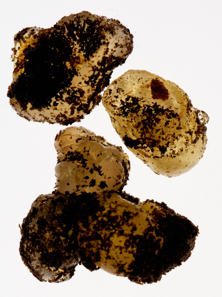 Product Image for 