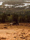 Nomad Eau de Parfum