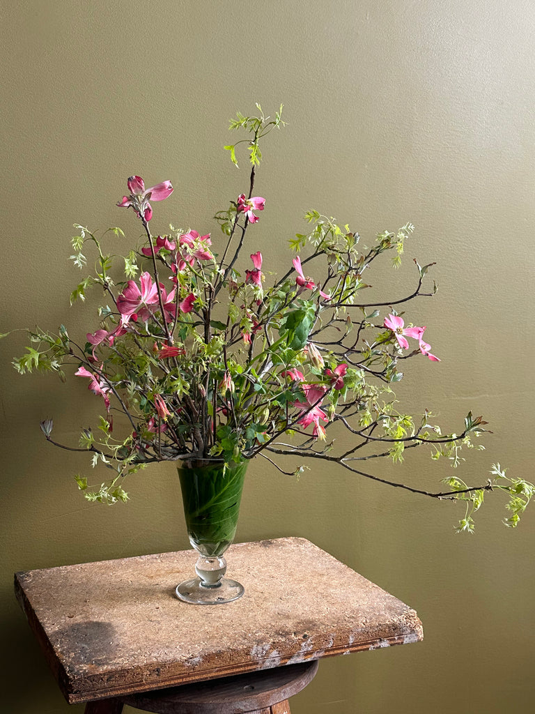 Product Image for 