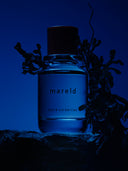 Seaweed wrapping itself around a bottle of Björk and Berries mareld eau de perfume. the bottle is standing on a rock in the sea.