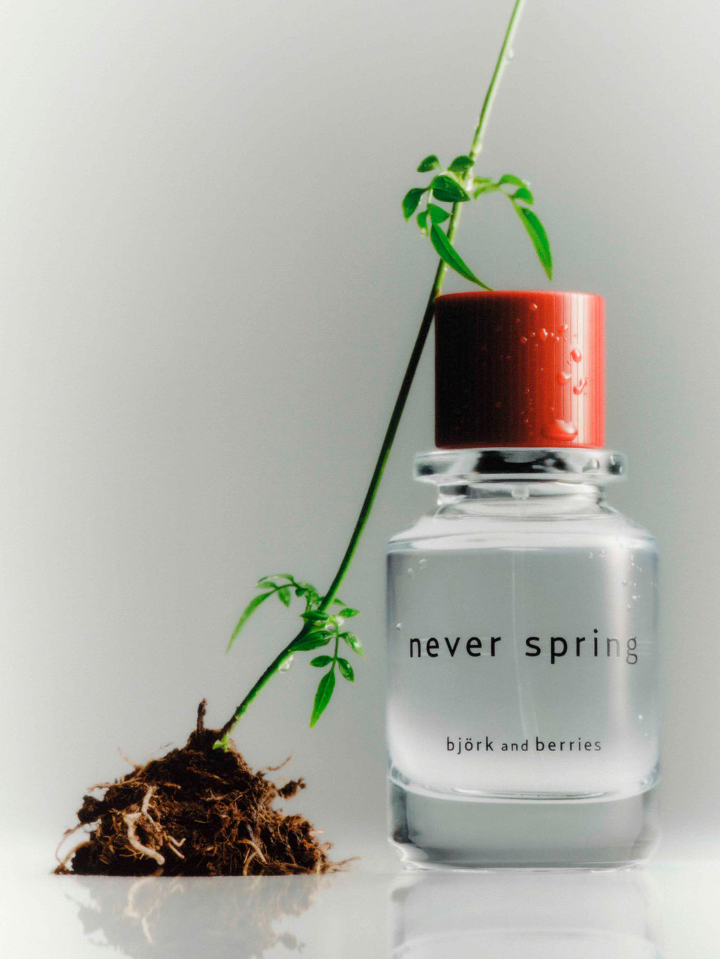 A plant lying on a bottle of björk and berries never spring eau de perfume, standing against a white background. 