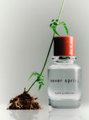 A plant lying on a bottle of björk and berries never spring eau de perfume, standing against a white background. 
