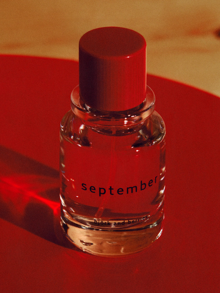 a picture of björk and berries september eau de parfum in a warm setting