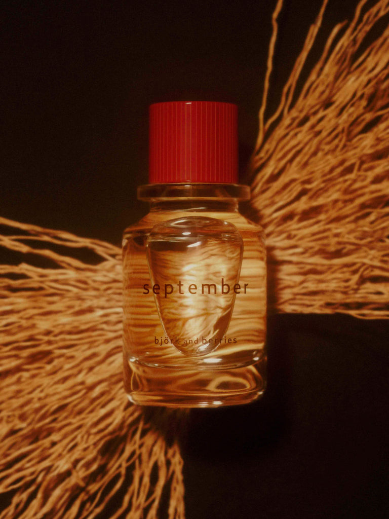 Björk and Berries september eau de perfume lying on a bed of vetiver wood with a black background. 